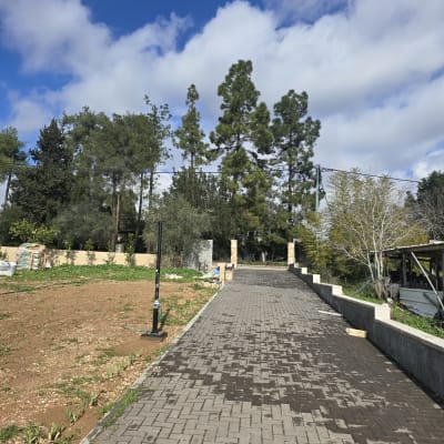 תמונה אינה מציגה עבודה בתחום