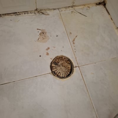 רצפת אמבטיה עם ניקוז מלוכלך וסימני עובש