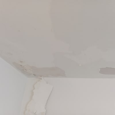 תקרת קיר עם קילופי צבע ונזקי רטיבות