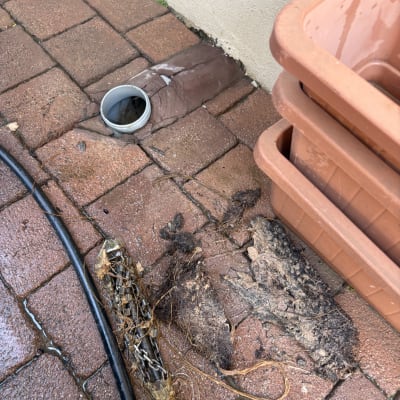 ניקוי צינור ביוב עם שורשים וכלים