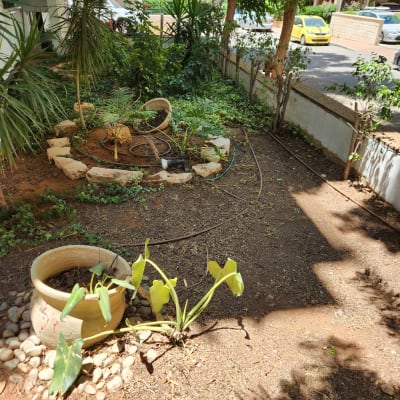 עציצים, צינור השקיה, צמחים וקרקע בגינה קטנה