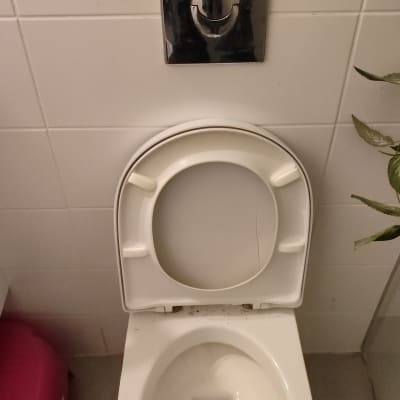 אסלה עם מכסה פתוח ולחצן הדחה על הקיר