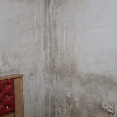 קיר עם סימני רטיבות ועובש בפינה