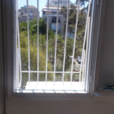 חלון עם סורגים לבנים ונוף עצים בחוץ