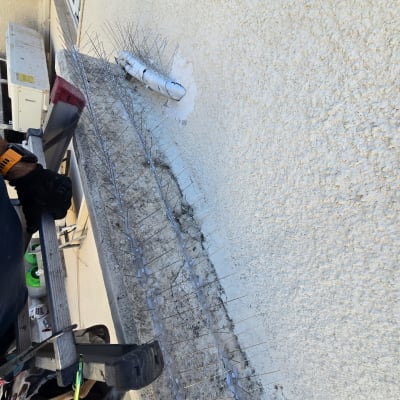 התקנת דוקרנים למניעת יונים על קיר חיצוני