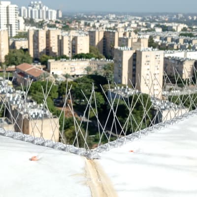 דוקרנים למניעת יונים על גג בניין