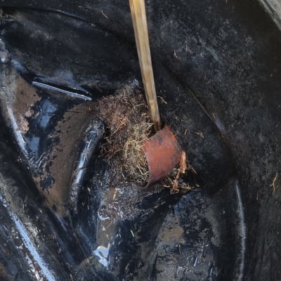 צינור יניקה עם לכלוך בתוך מיכל ואקום