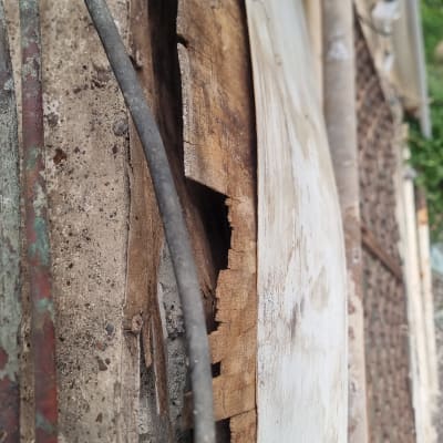 עץ רקוב עם חוטים על משטח בטון