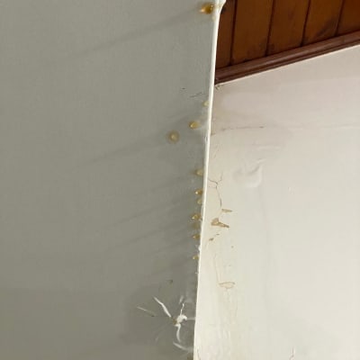 כתמי רטיבות וסדקים בתקרה לבנה