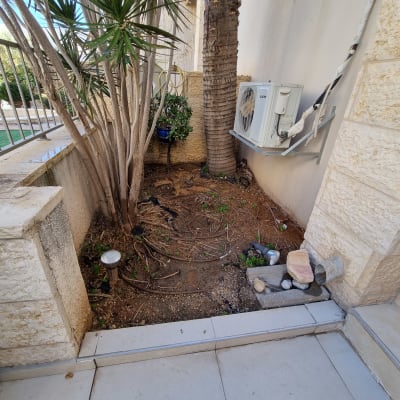 אדמה עם צמחים, עצים וכלי גינון קטנים