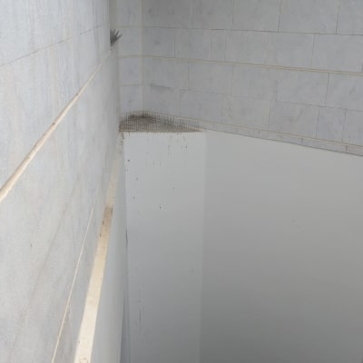 קוצים למניעת קינון יונים על אדן חלון