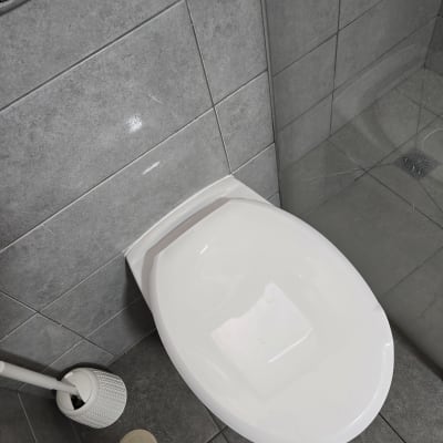 אסלה ומברשת ניקוי בחדר אמבטיה