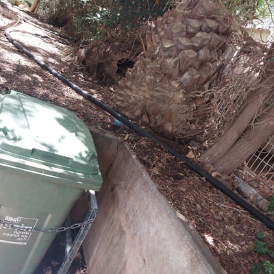 צינור שחור מונח על הקרקע ליד עץ