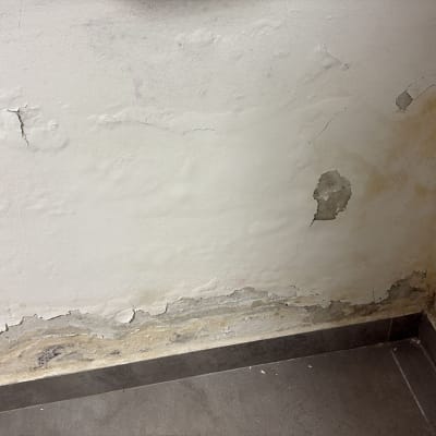 קיר עם סדקים ונזקי רטיבות, זקוק לצביעה