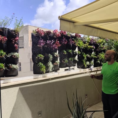 אדם משקה גינה אנכית עם צמחים שונים על קיר