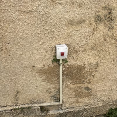 שקע חשמל על קיר חיצוני עם צמחייה