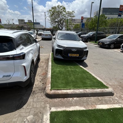 מכוניות חונות ליד דשא סינתטי בחניון