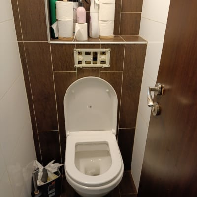 אסלה עם לחצן הדחה חסר, מברשת שירותים