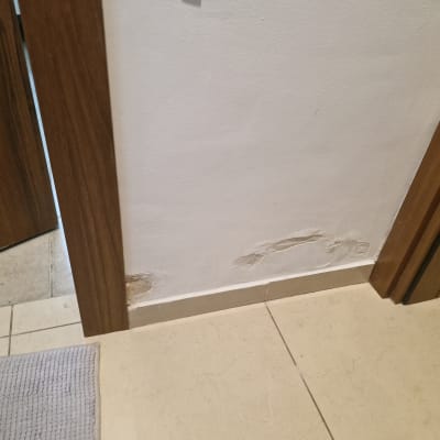 קיר עם סימני רטיבות ליד דלת עץ