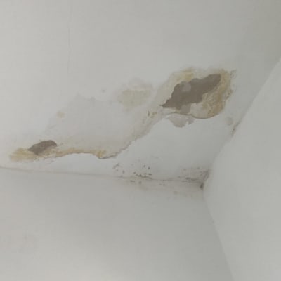 רטיבות ועובש בתקרה בפינת חדר