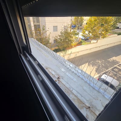 דוקרנים על אדן חלון למניעת יונים