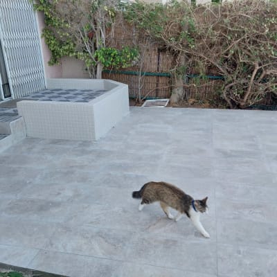 ריצוף חדש בחצר עם מדרגות מרוצפות