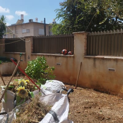 כלי גינון, שקי גזם, צמחים ועציצים בגינה