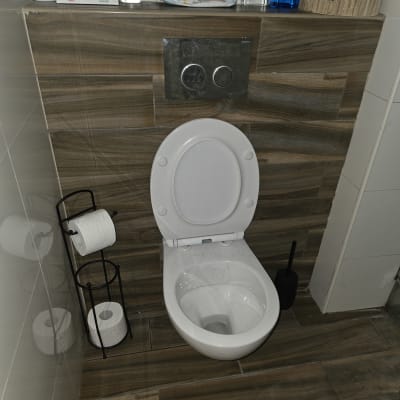 אסלה עם נייר טואלט ומברשת ניקוי בשירותים