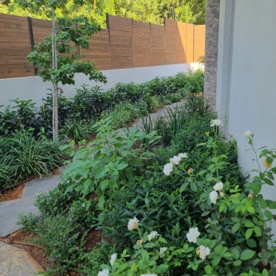 גינה עם צמחים ופרחים ליד גדר עץ