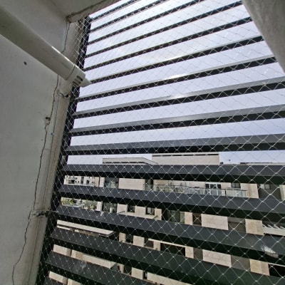 רשת יונים מותקנת על חלון למניעת כניסת יונים