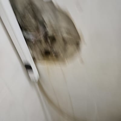 דליפה בקיר עם צינור ודלי מתחת