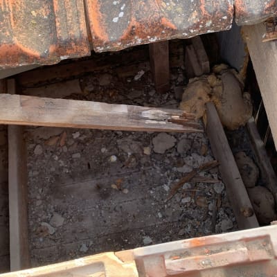 תמונה של גג עם רעפים שבורים ועץ חשוף