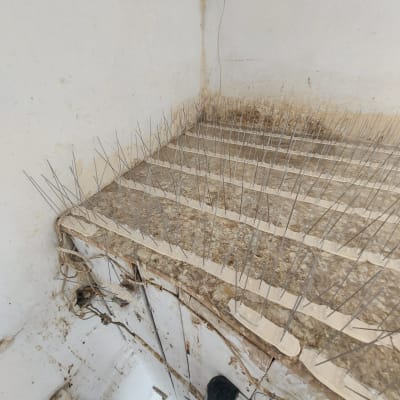 דוקרנים מותקנים על מדף למניעת קינון יונים