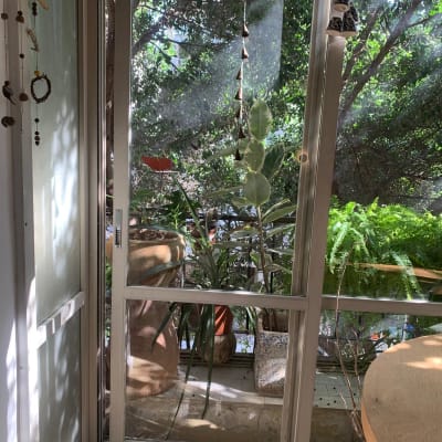 דלת זכוכית עם צמחים ועציצים במרפסת