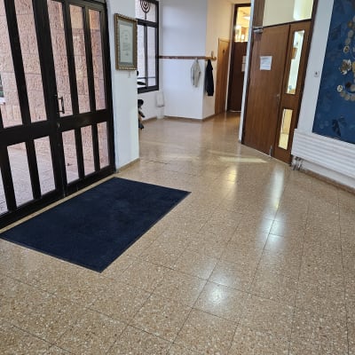 מסדרון עם שטיח ודלתות עץ