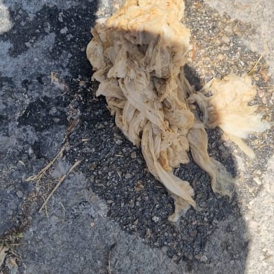 חומר סתימה על הקרקע ליד נעליים של אינסטלטור