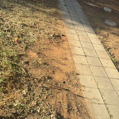 שטח אדמה עם עשבים קצוצים וענפים גזומים