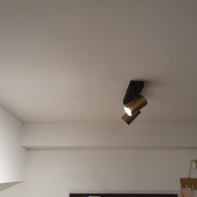 תאורת תקרה עם מנורה מתכווננת