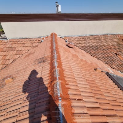 גג רעפים אדום עם דוקרנים למניעת ציפורים