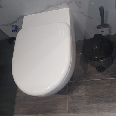 אסלה לבנה עם מברשת ניקוי ליד