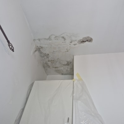 תקרה עם קילופי צבע ורטיבות, כיסוי פלסטיק על ארון