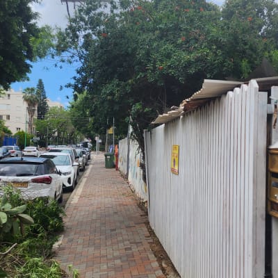 ענפים גזומים על מדרכה ליד גדר עץ ועצים ברקע