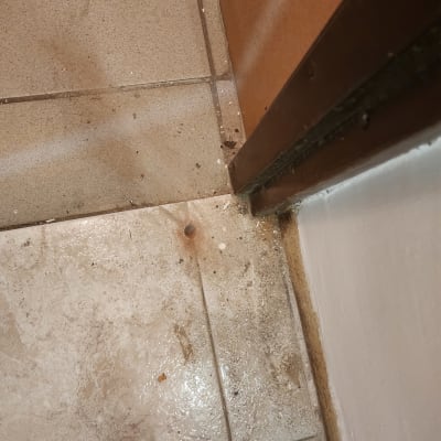 תמונה אינה מציגה עבודה בתחום