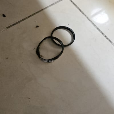 שני אטמים שחורים על רצפה לבנה