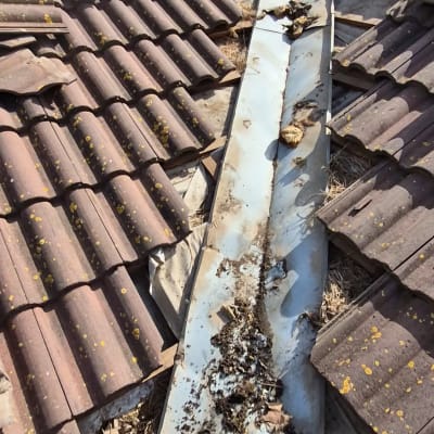 גג רעפים עם תעלה מרכזית לניקוז