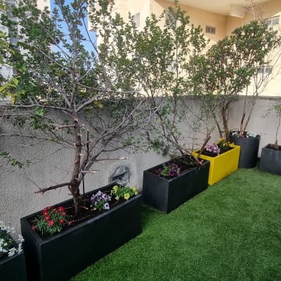 עצים ופרחים באדניות על דשא סינתטי