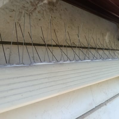 דוקרנים להרחקת יונים על גג בניין