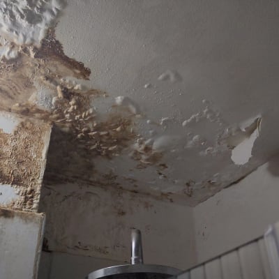 תקרה עם רטיבות ועובש, זקוקה לשיפוץ