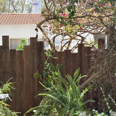 גינה עם צמחים וגדר עץ, עצים ופרחים