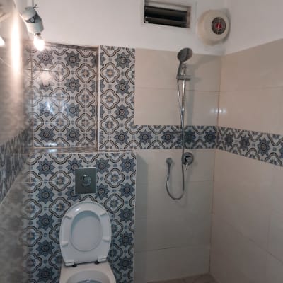 שירותים עם אריחים מעוצבים ומקלחת מותקנת